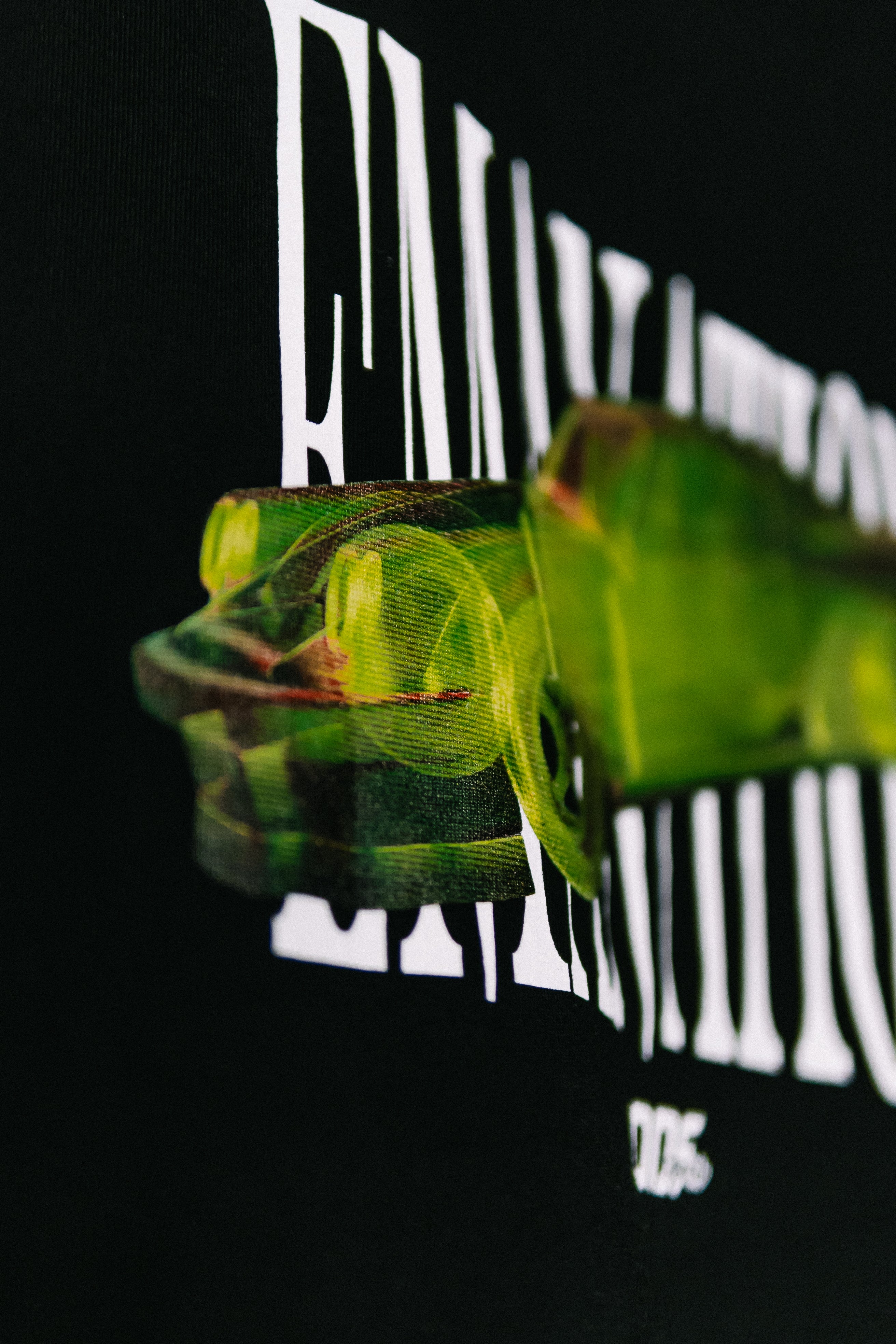 T-shirt "Emanation Bones" Black